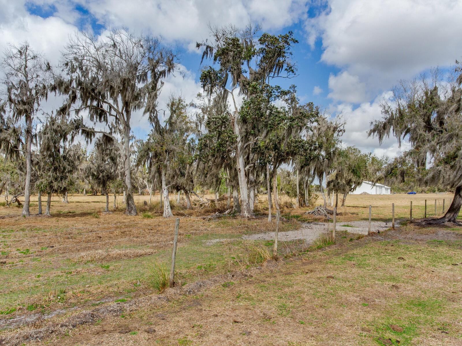 0 S CR 39, LITHIA, FL — photo 4