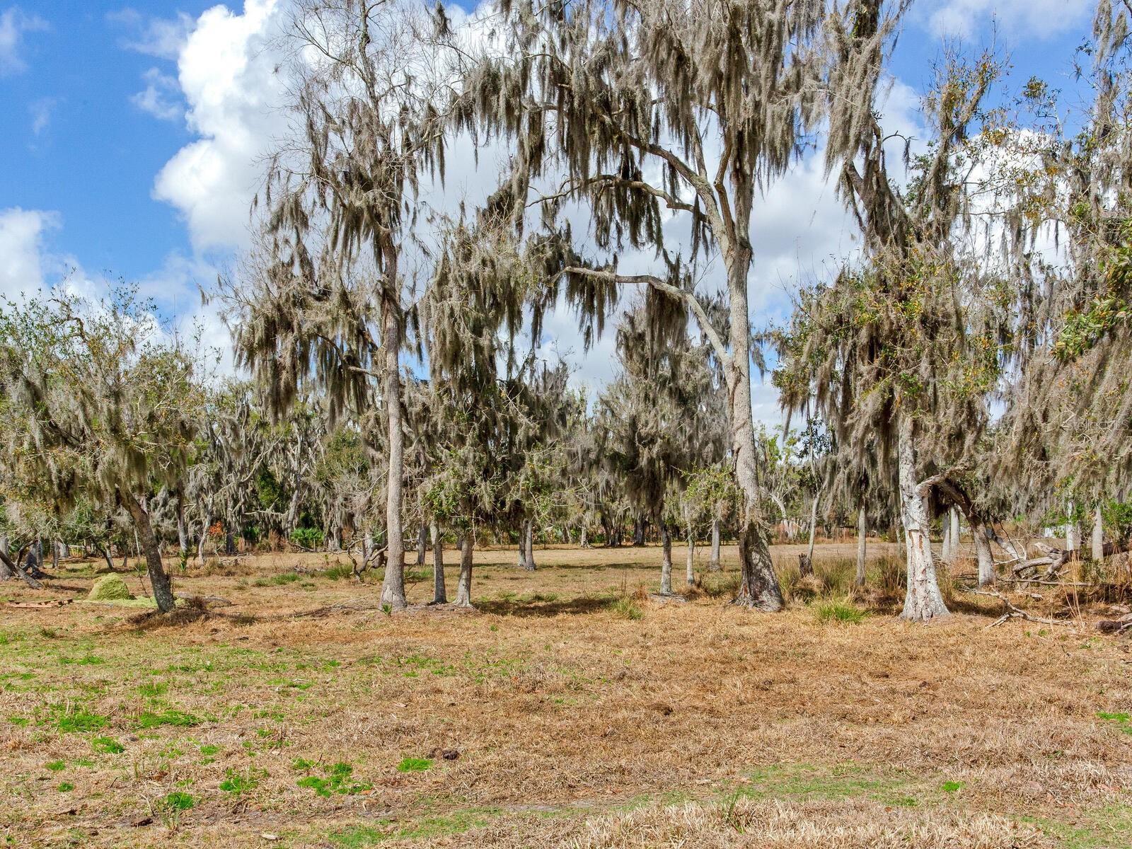 0 S CR 39, LITHIA, FL — photo 5
