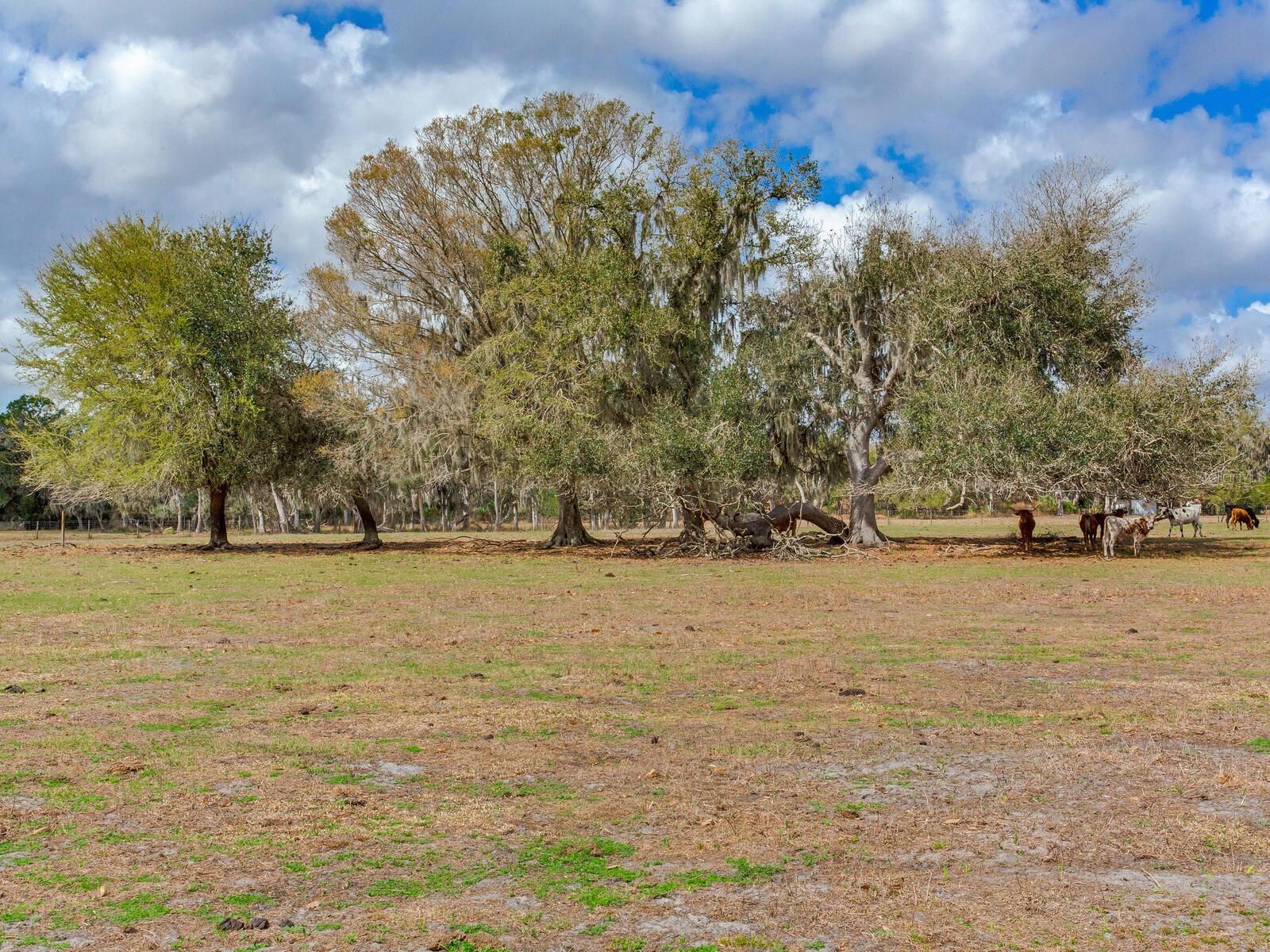0 S CR 39, LITHIA, FL