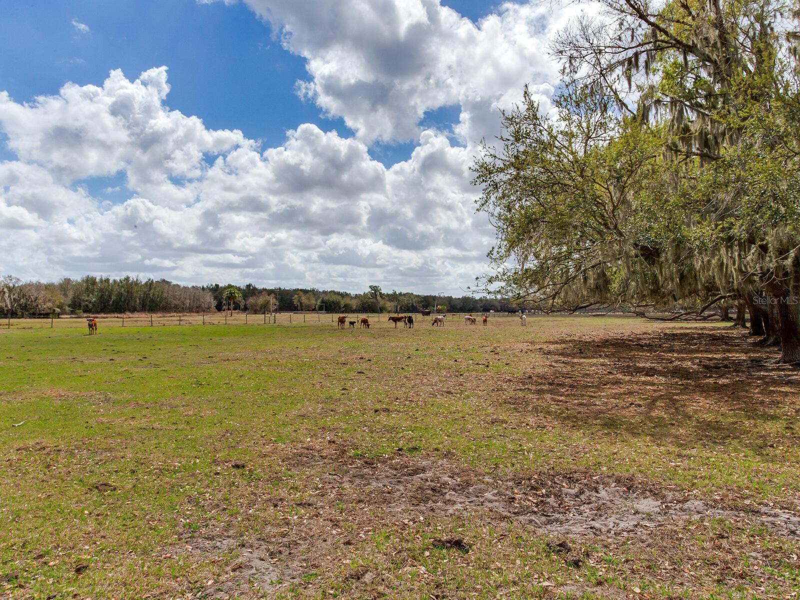 0 S CR 39, LITHIA, FL — photo 7