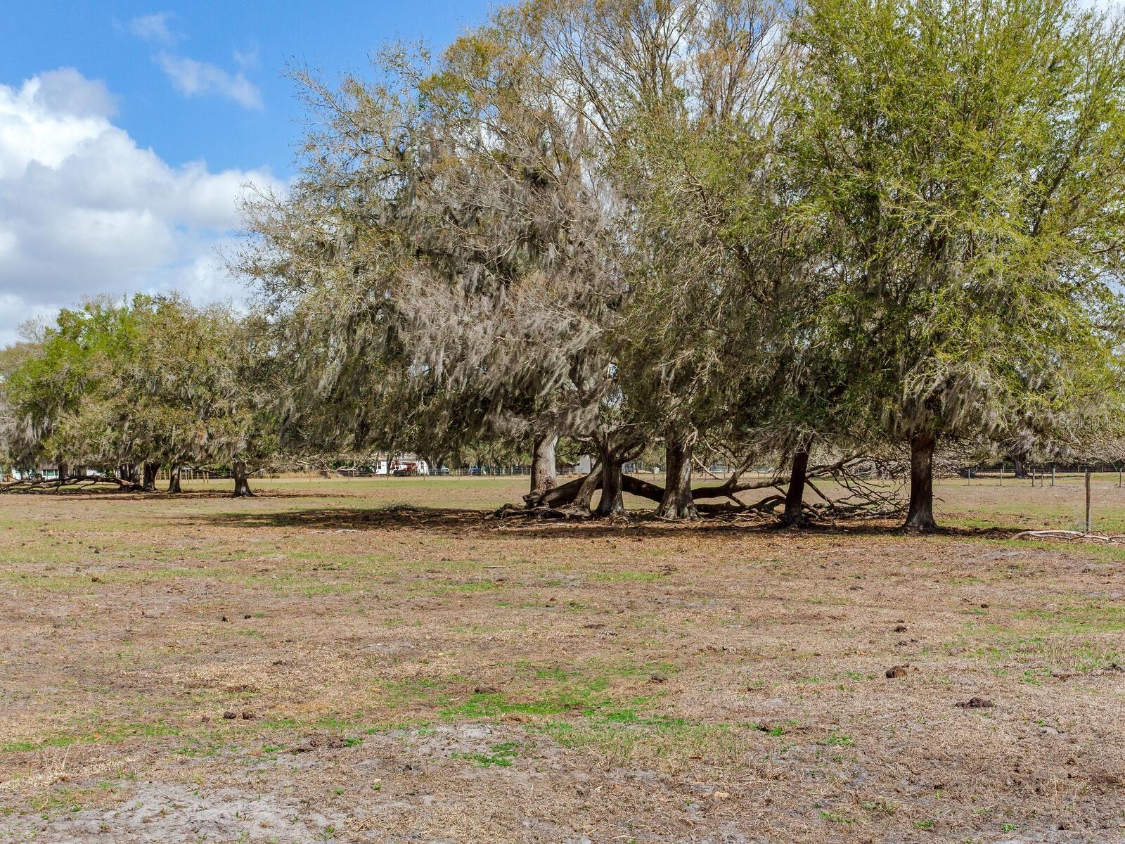 0 S CR 39, LITHIA, FL — photo 10