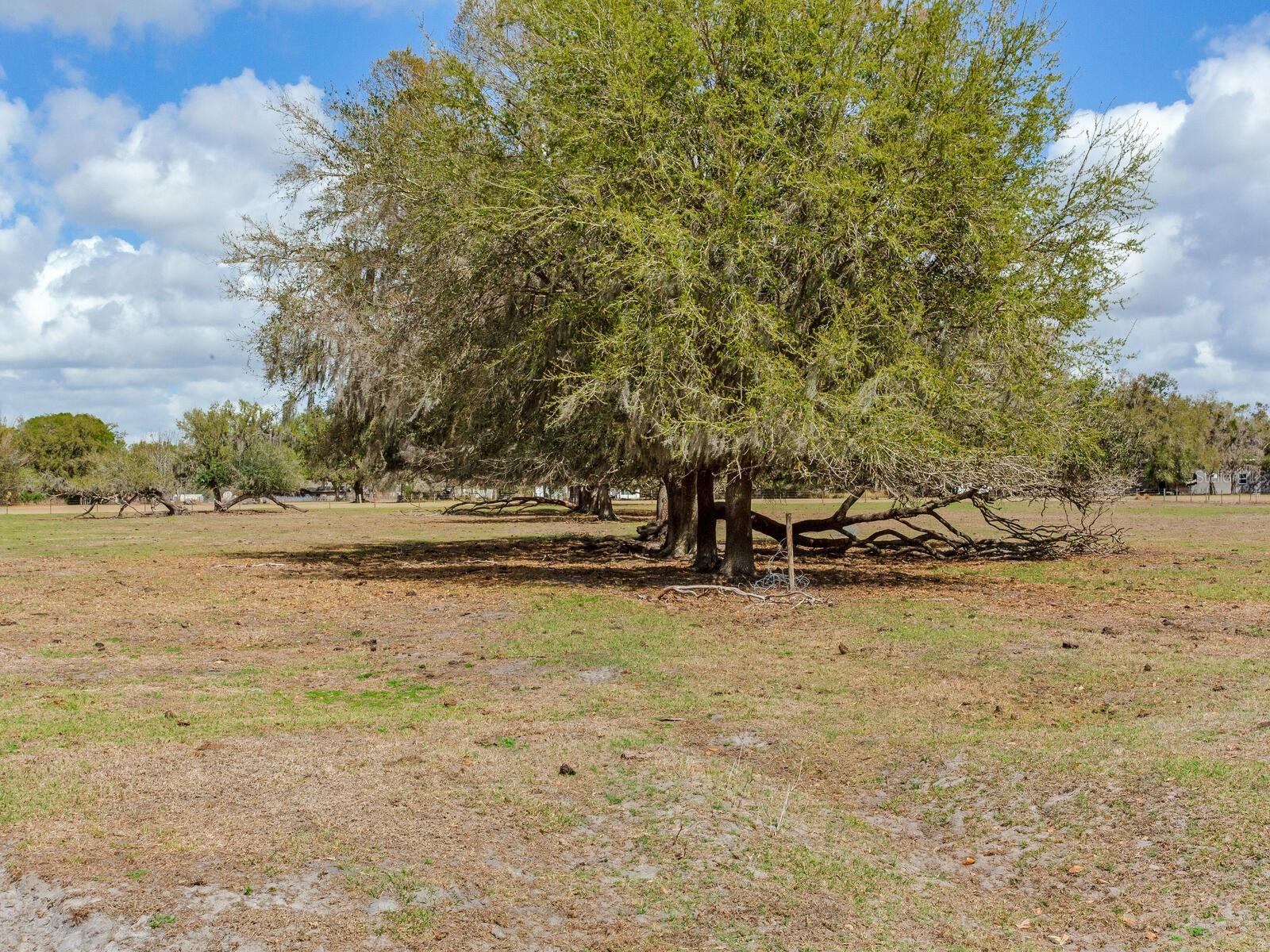 0 S CR 39, LITHIA, FL — photo 12