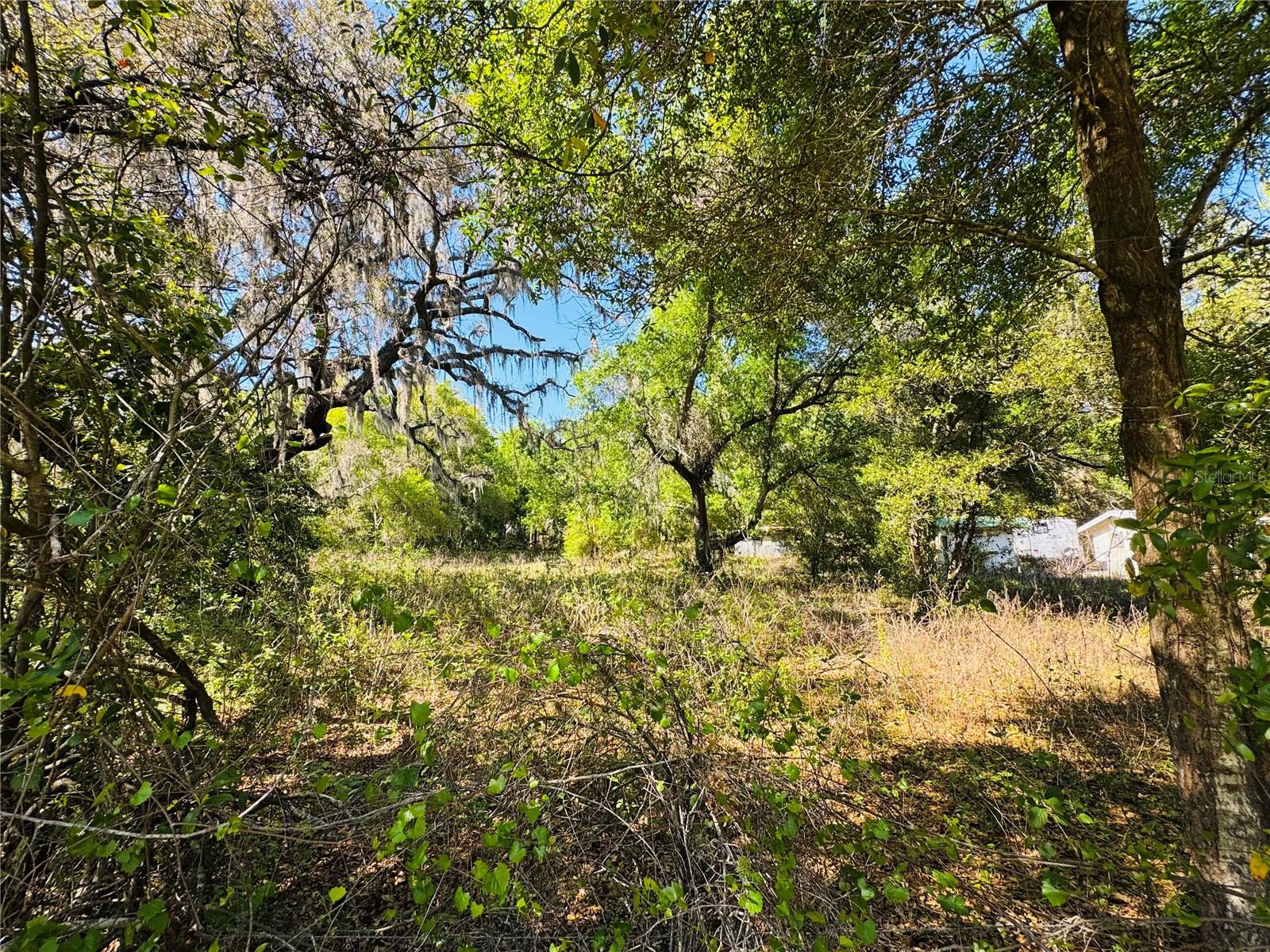 11340 BESSIE DIX RD, SEFFNER, FL — photo 10