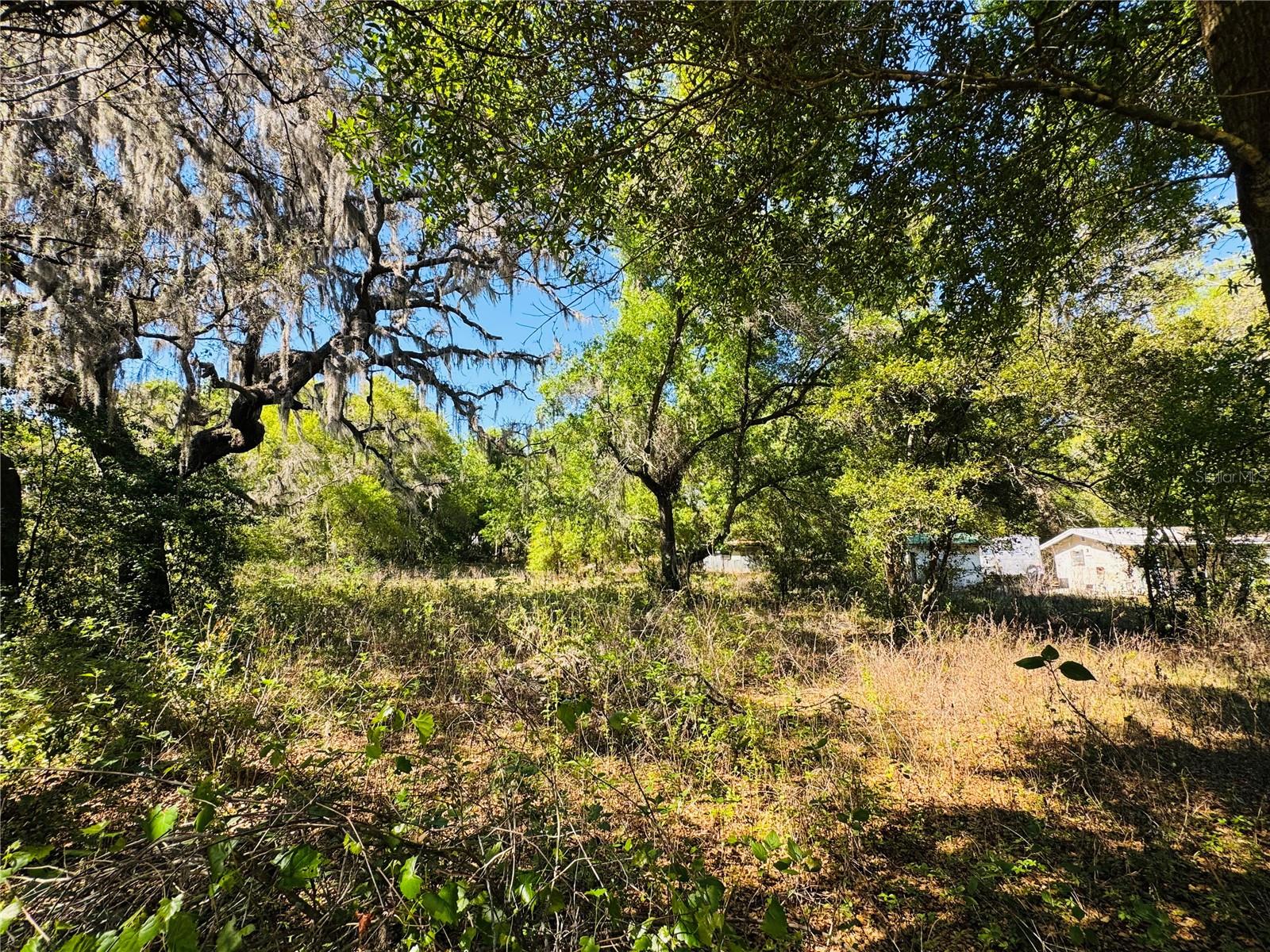 11340 BESSIE DIX RD, SEFFNER, FL — photo 11
