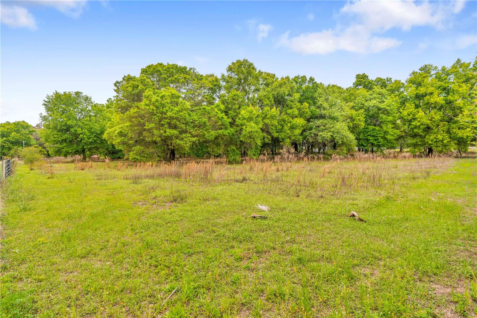 11340 BESSIE DIX RD, SEFFNER, FL — photo 12