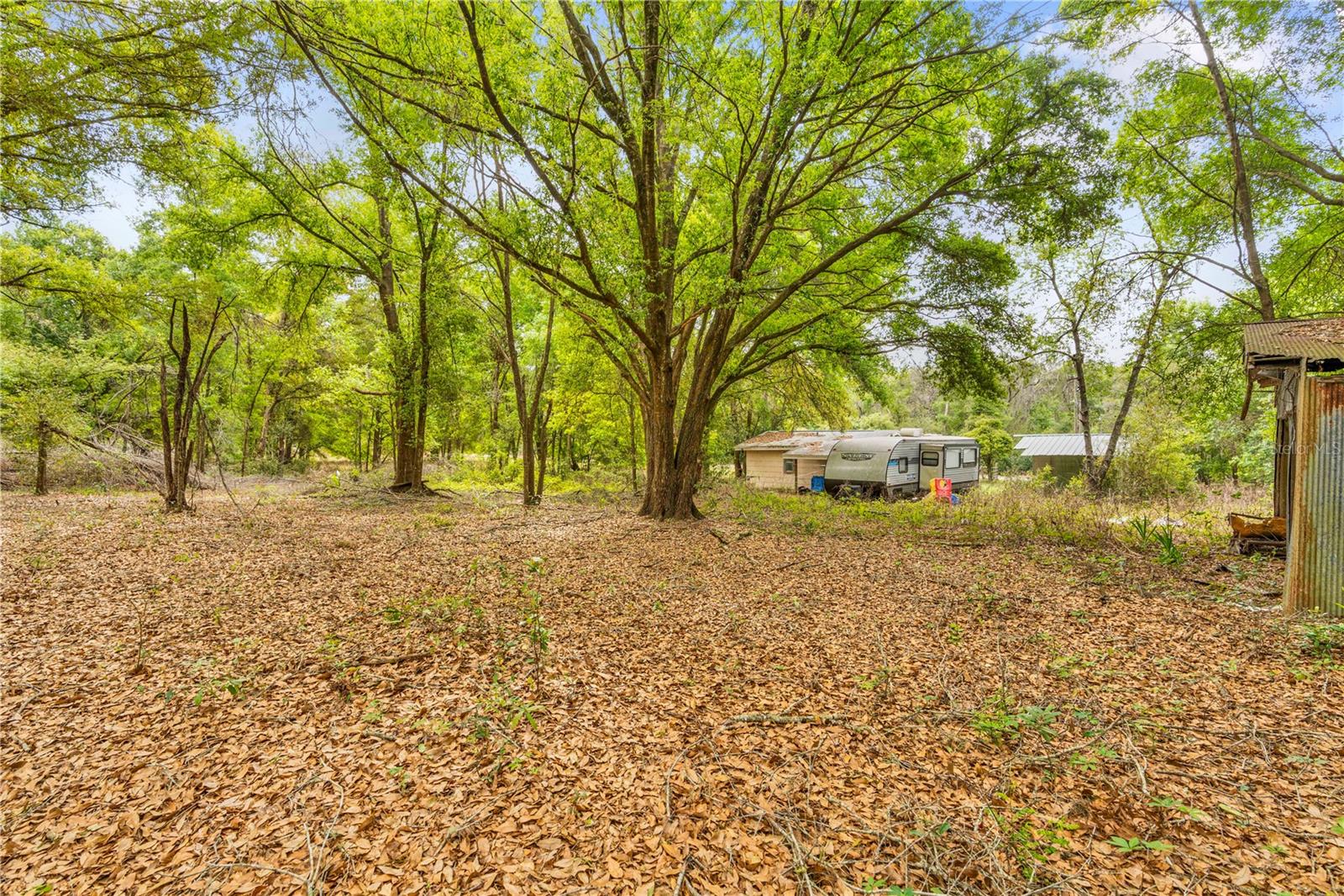 11340 BESSIE DIX RD, SEFFNER, FL — photo 13