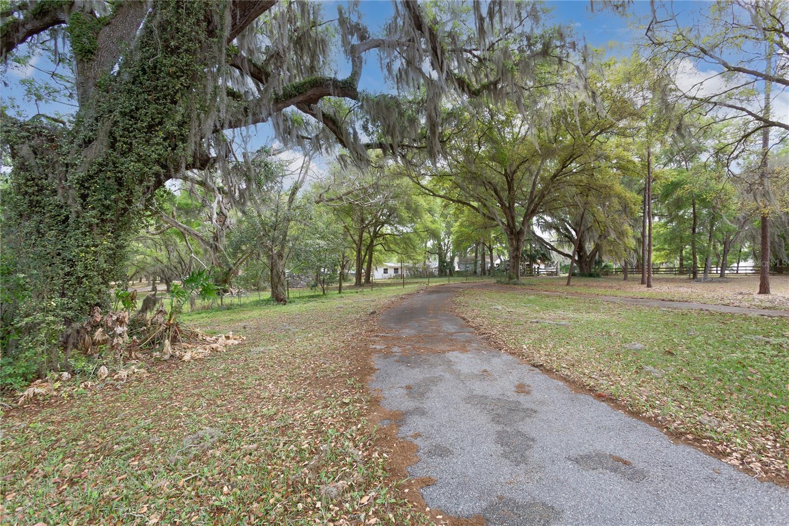 1905 MYRTLE LAKE AVE, FRUITLAND PARK, FL — photo 53