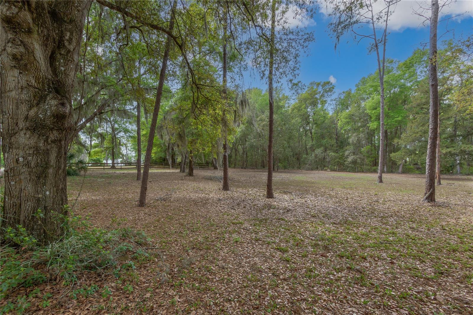 1905 MYRTLE LAKE AVE, FRUITLAND PARK, FL — photo 56