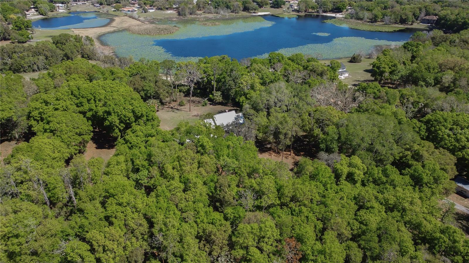 1905 MYRTLE LAKE AVE, FRUITLAND PARK, FL — photo 149
