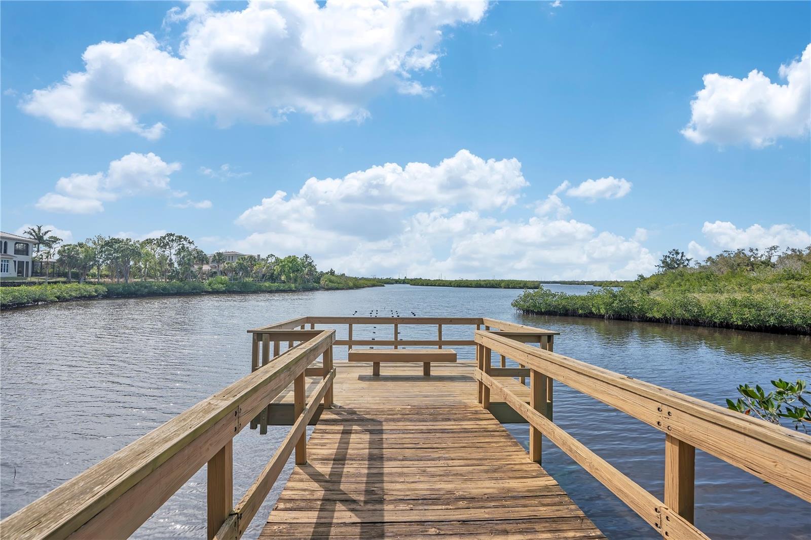 926 RIVER BASIN CT #201C, BRADENTON, FL — photo 49