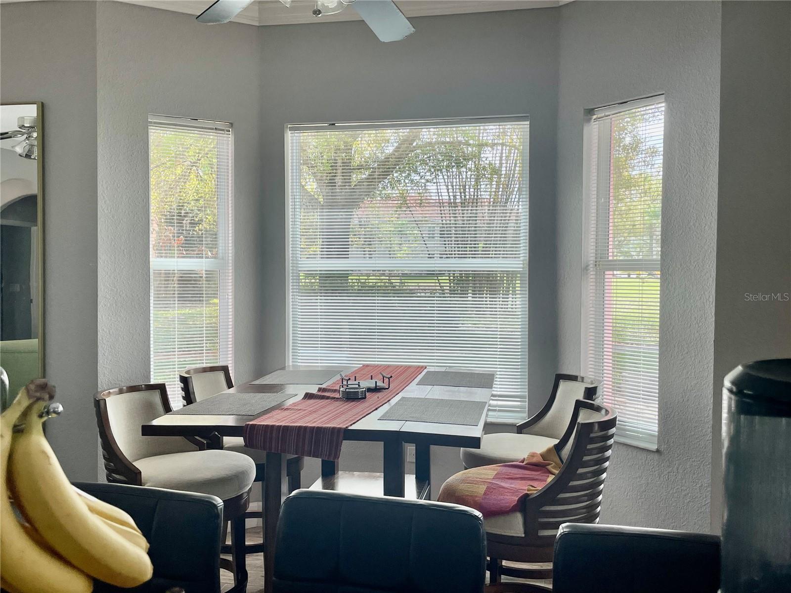 21007 LOS CABOS CT, LAND O LAKES, FL — photo 5
