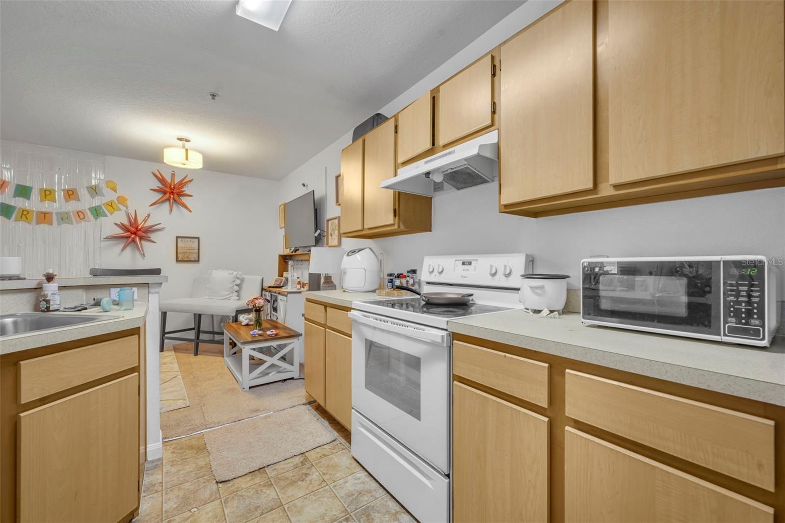 6518 SWISSCO DR #1213, ORLANDO, FL — photo 12
