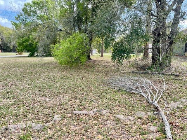 HIGHLAND TRL, LADY LAKE, FL — photo 8