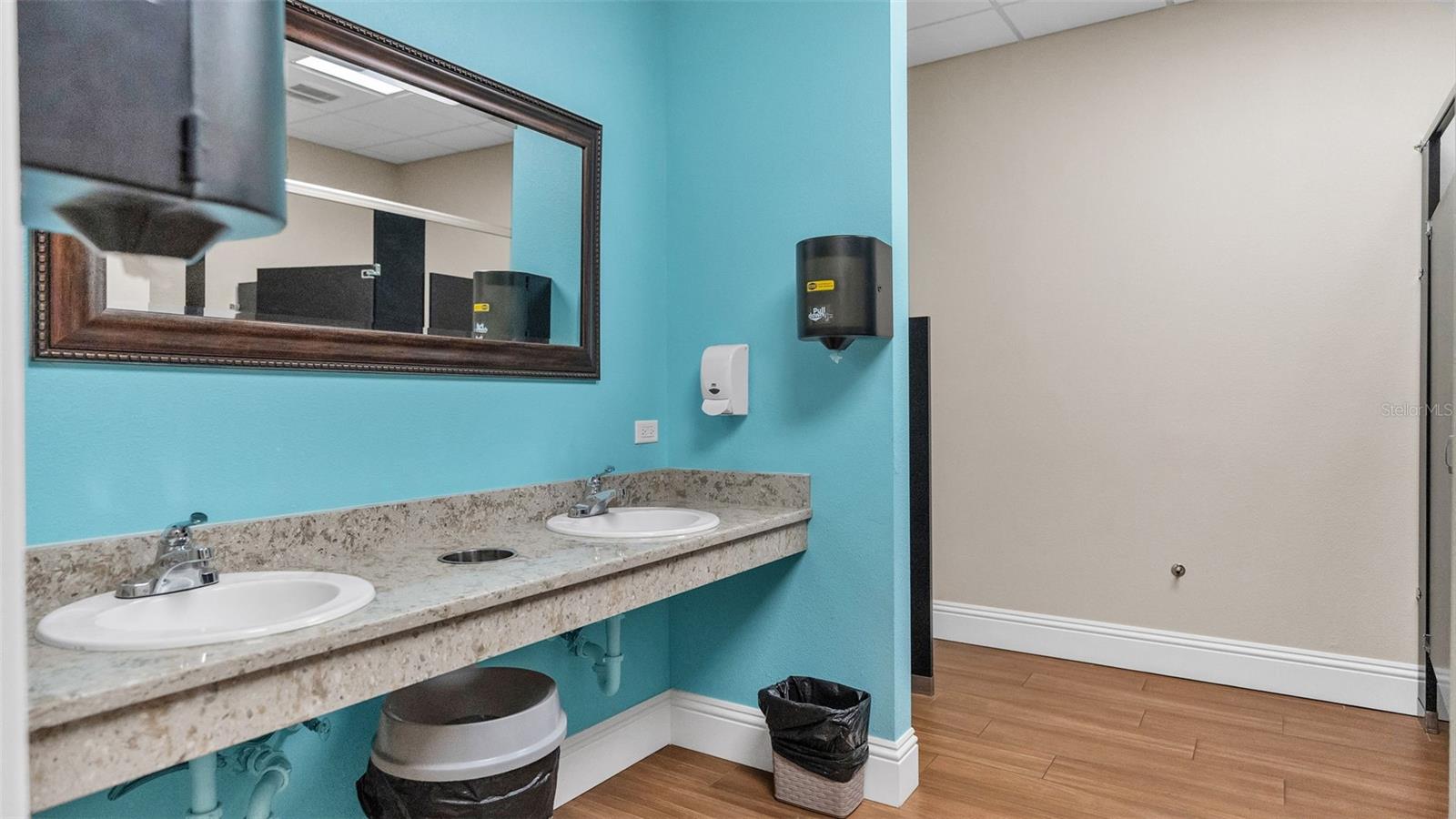 6236 RAVEN RUN, LAKELAND, FL — photo 64