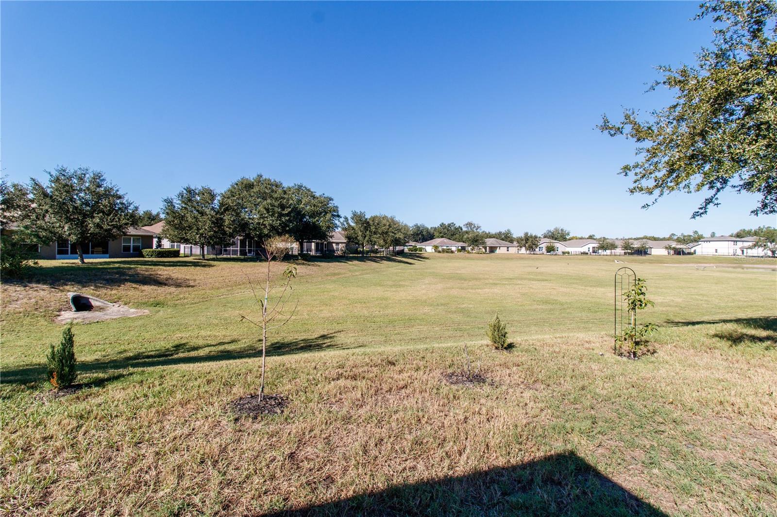 13541 NITI DR, HUDSON, FL — photo 4