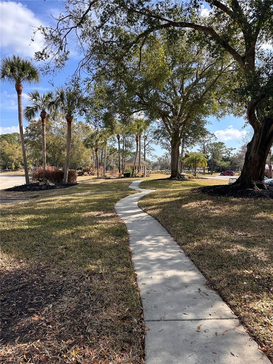 35 MAGNOLIA AVE #35, ORMOND BEACH, FL — photo 26