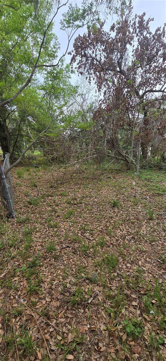 810 W 14TH ST, LAKELAND, FL — photo 3