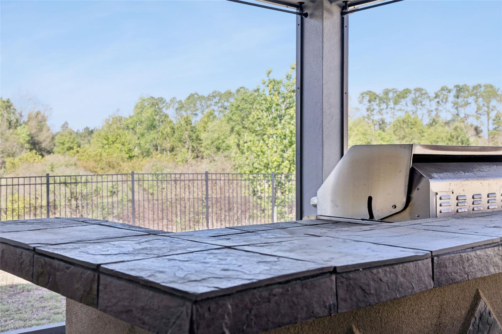 307 TERRACOTTA TER, HOWEY IN THE HILLS, FL — photo 68