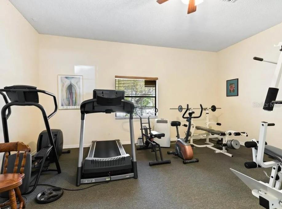 1669 SEASCAPE CIR #1669, TARPON SPRINGS, FL — photo 24