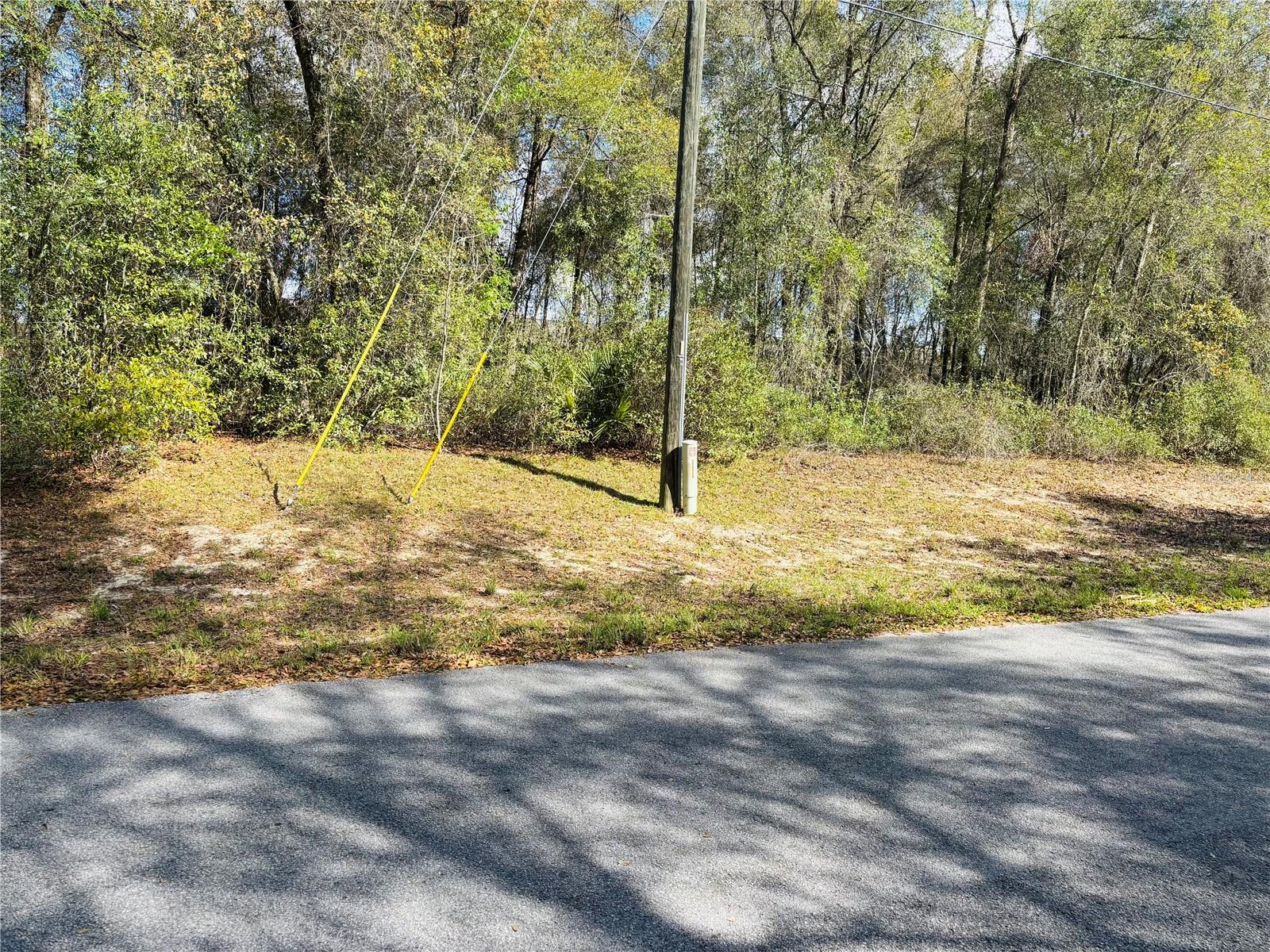 0 SW 19TH AVE RD #3, OCALA, FL — photo 2