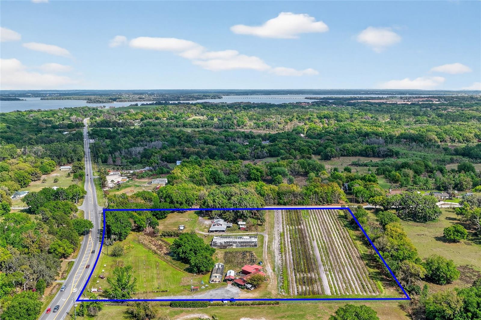 26921 BLOOMFIELD AVE, YALAHA, FL