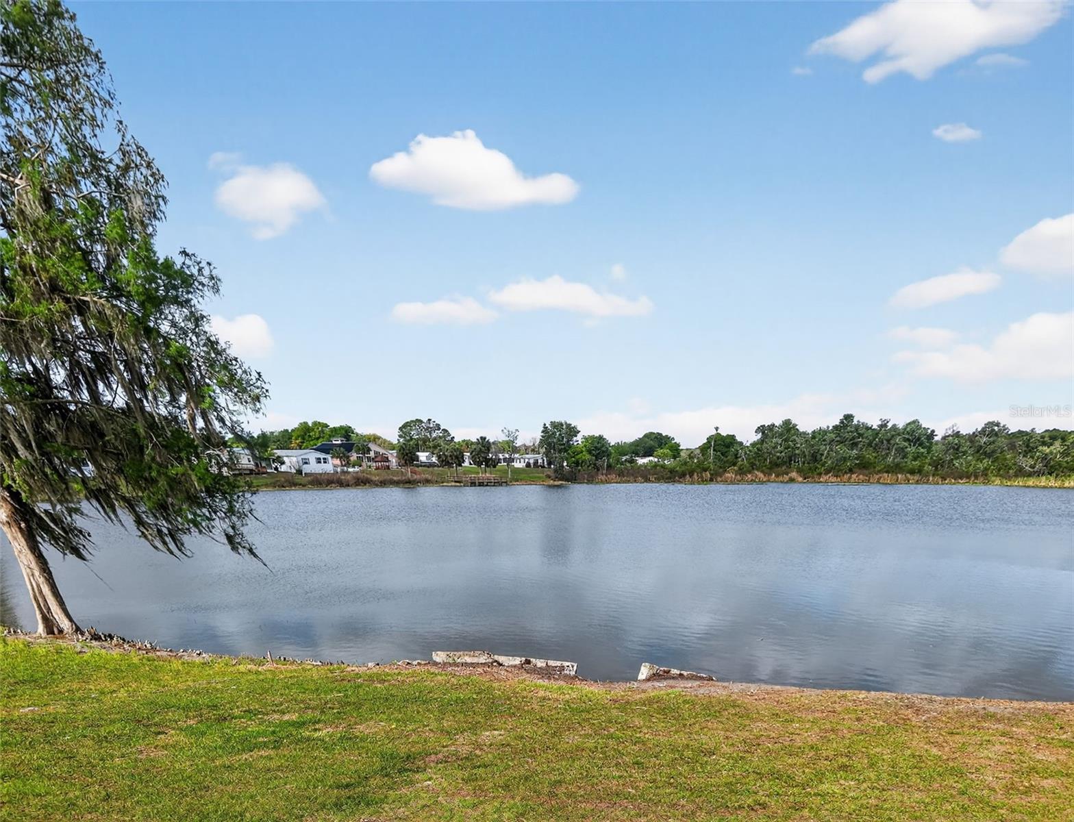 272 S CENTRAL/SR19S AVE, UMATILLA, FL — photo 91