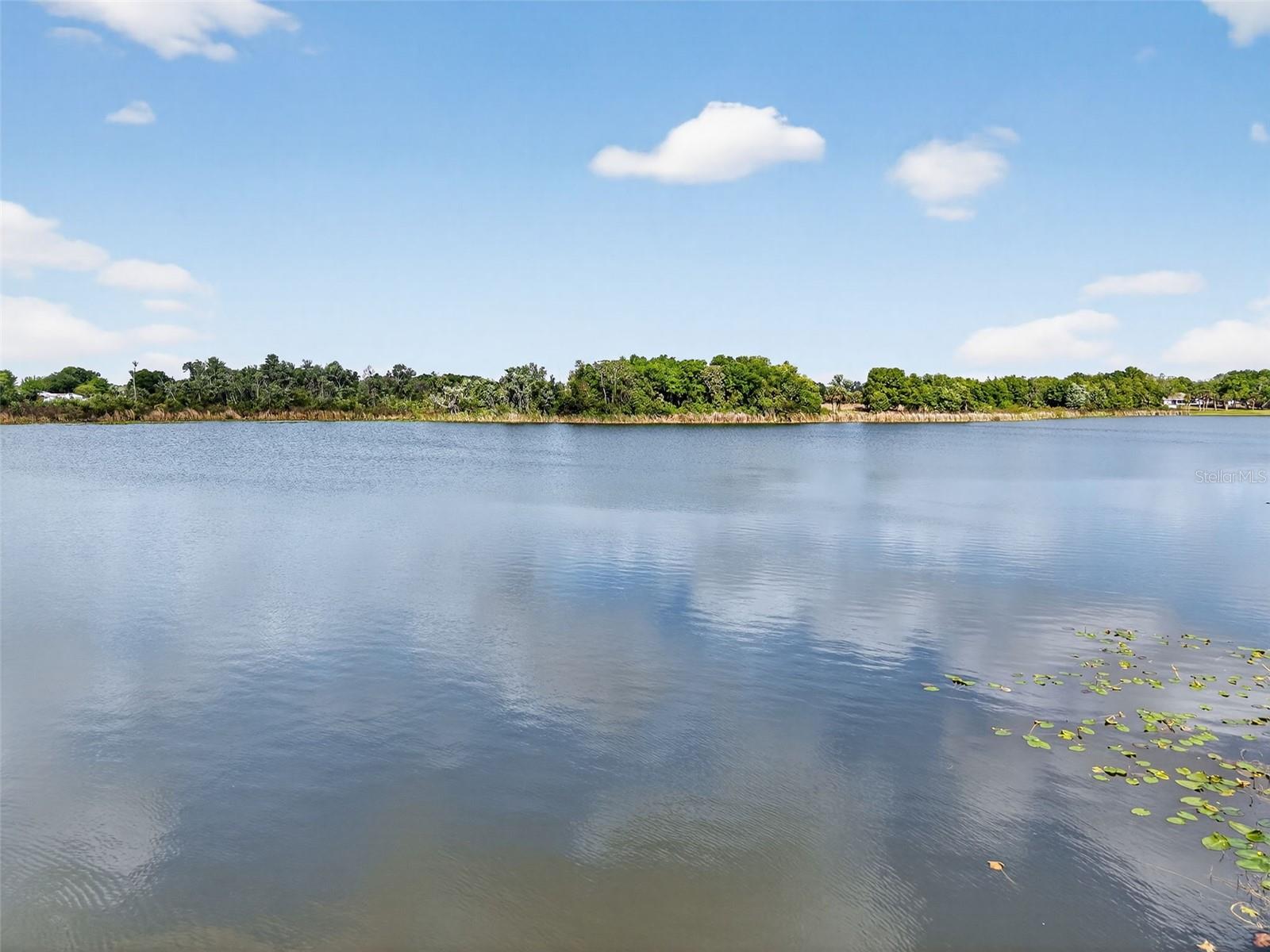 272 S CENTRAL/SR19S AVE, UMATILLA, FL — photo 93