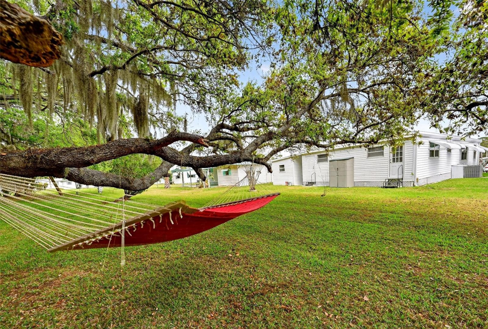 7 COCOS PLUMOSA DR #A, EUSTIS, FL — photo 4