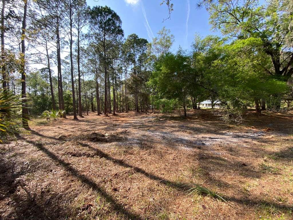 7756 N SHILLELAGH AVE, CRYSTAL RIVER, FL
