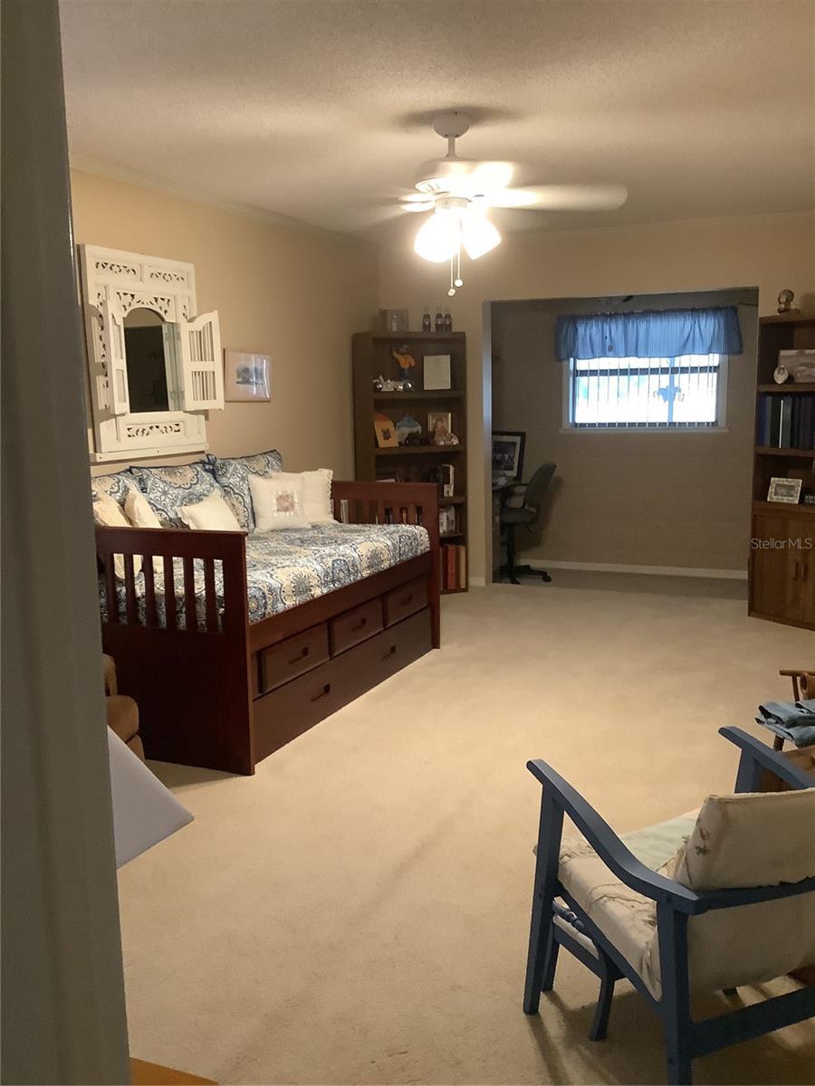 34433 CEDARFIELD DR, DADE CITY, FL — photo 30