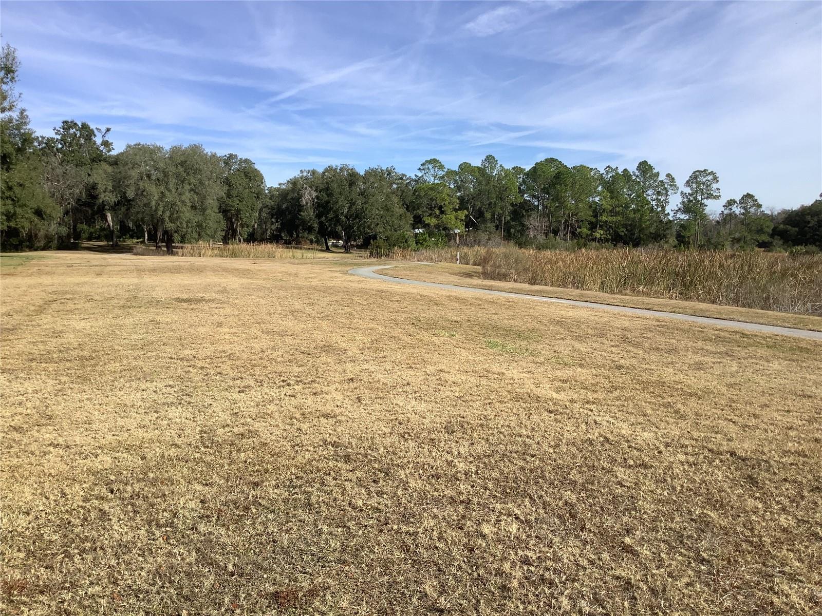 34433 CEDARFIELD DR, DADE CITY, FL — photo 53