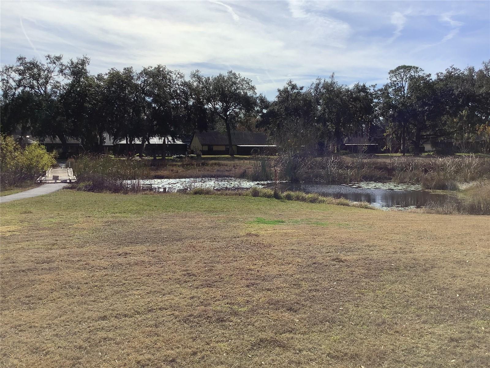 34433 CEDARFIELD DR, DADE CITY, FL — photo 54