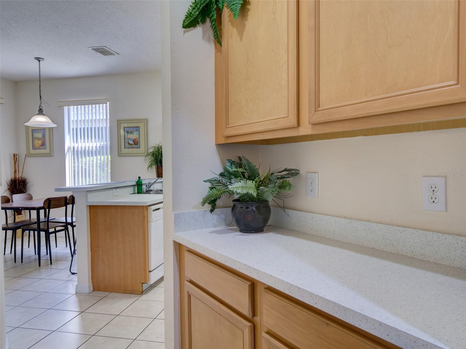 509 PINELOCH DR, HAINES CITY, FL — photo 19