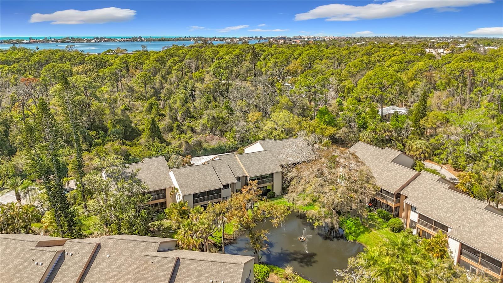 1617 BROOKHOUSE DR #BR260, SARASOTA, FL — photo 44