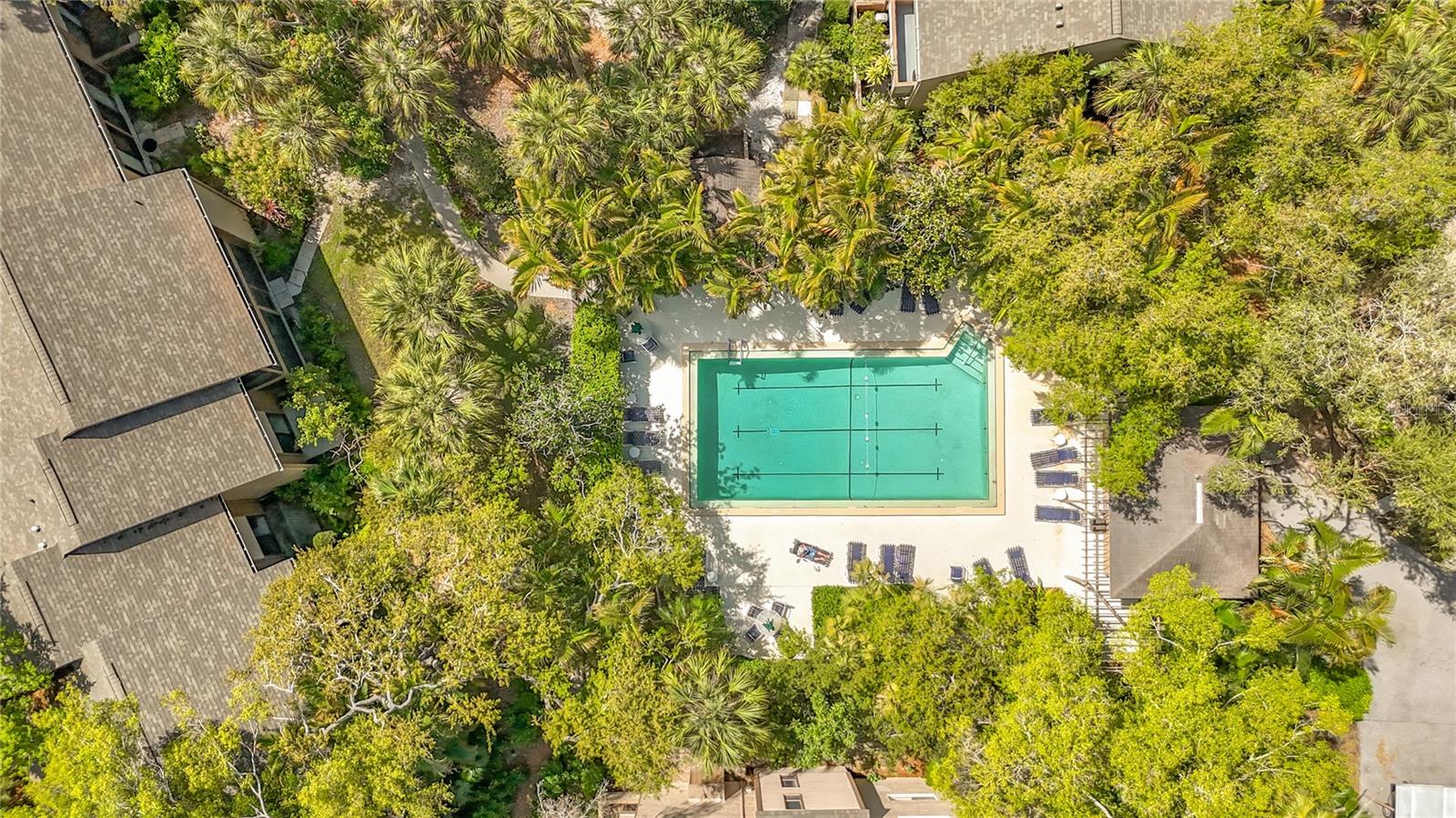 1617 BROOKHOUSE DR #BR260, SARASOTA, FL — photo 45