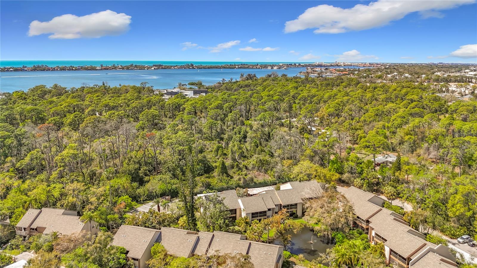 1617 BROOKHOUSE DR #BR260, SARASOTA, FL — photo 47
