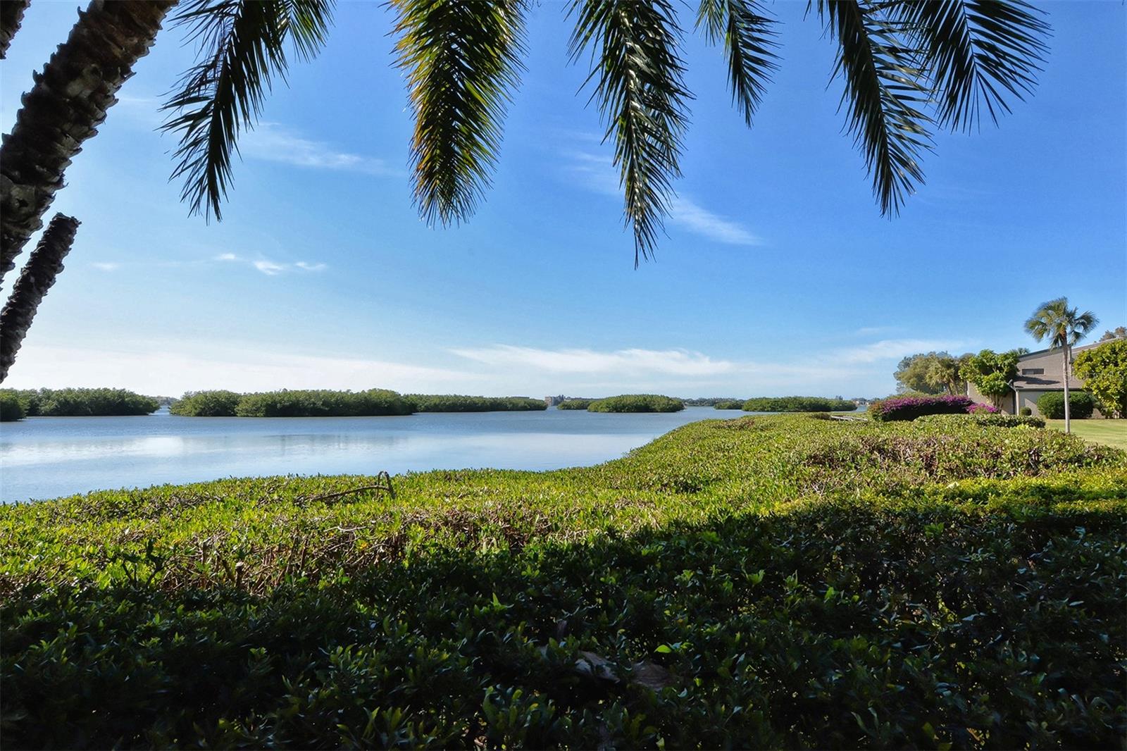 1617 BROOKHOUSE DR #BR260, SARASOTA, FL — photo 48