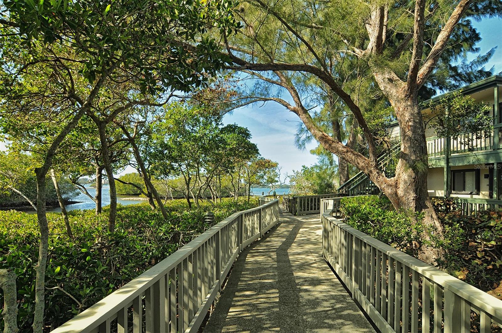 1617 BROOKHOUSE DR #BR260, SARASOTA, FL — photo 53