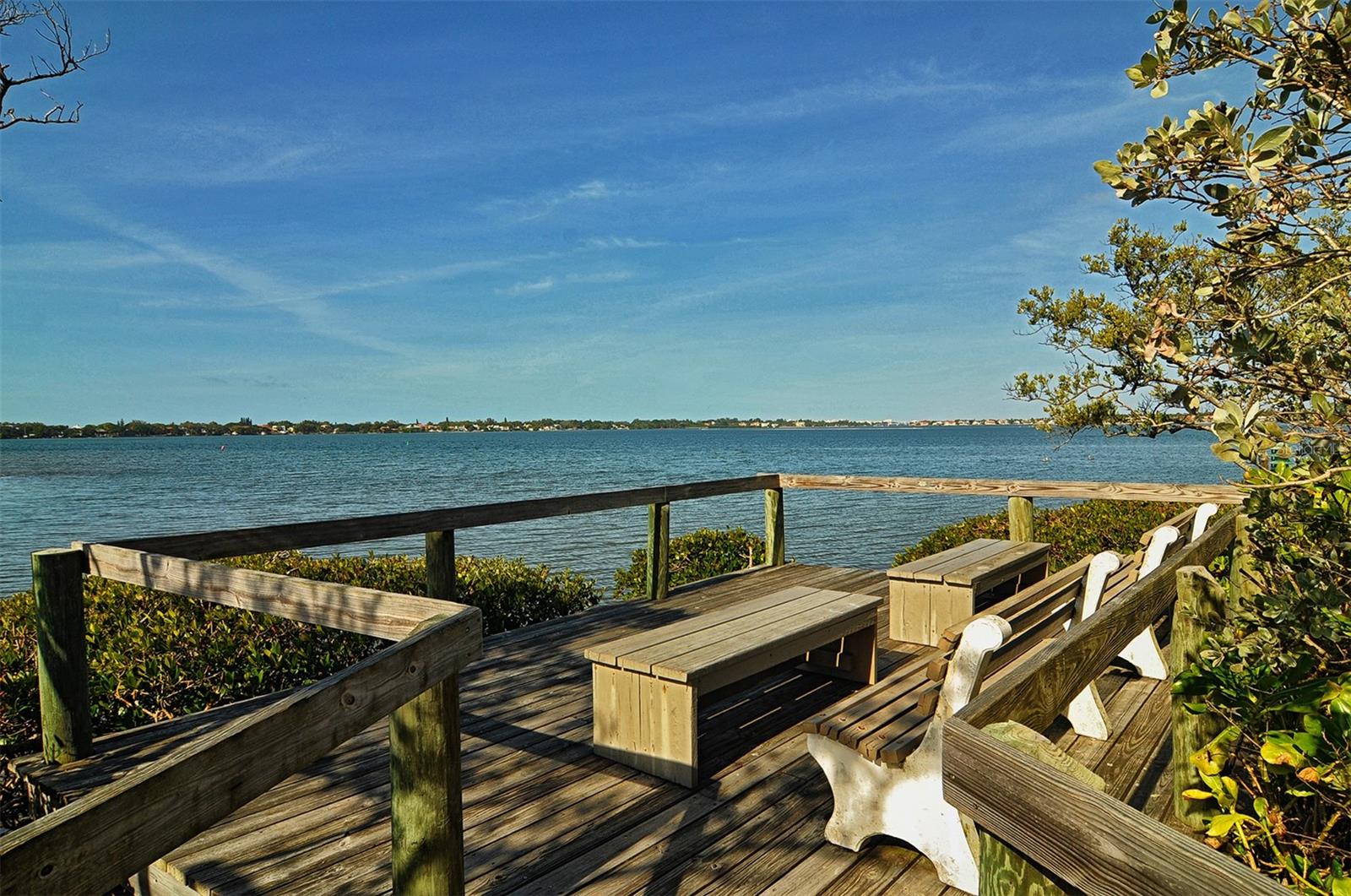 1617 BROOKHOUSE DR #BR260, SARASOTA, FL — photo 54