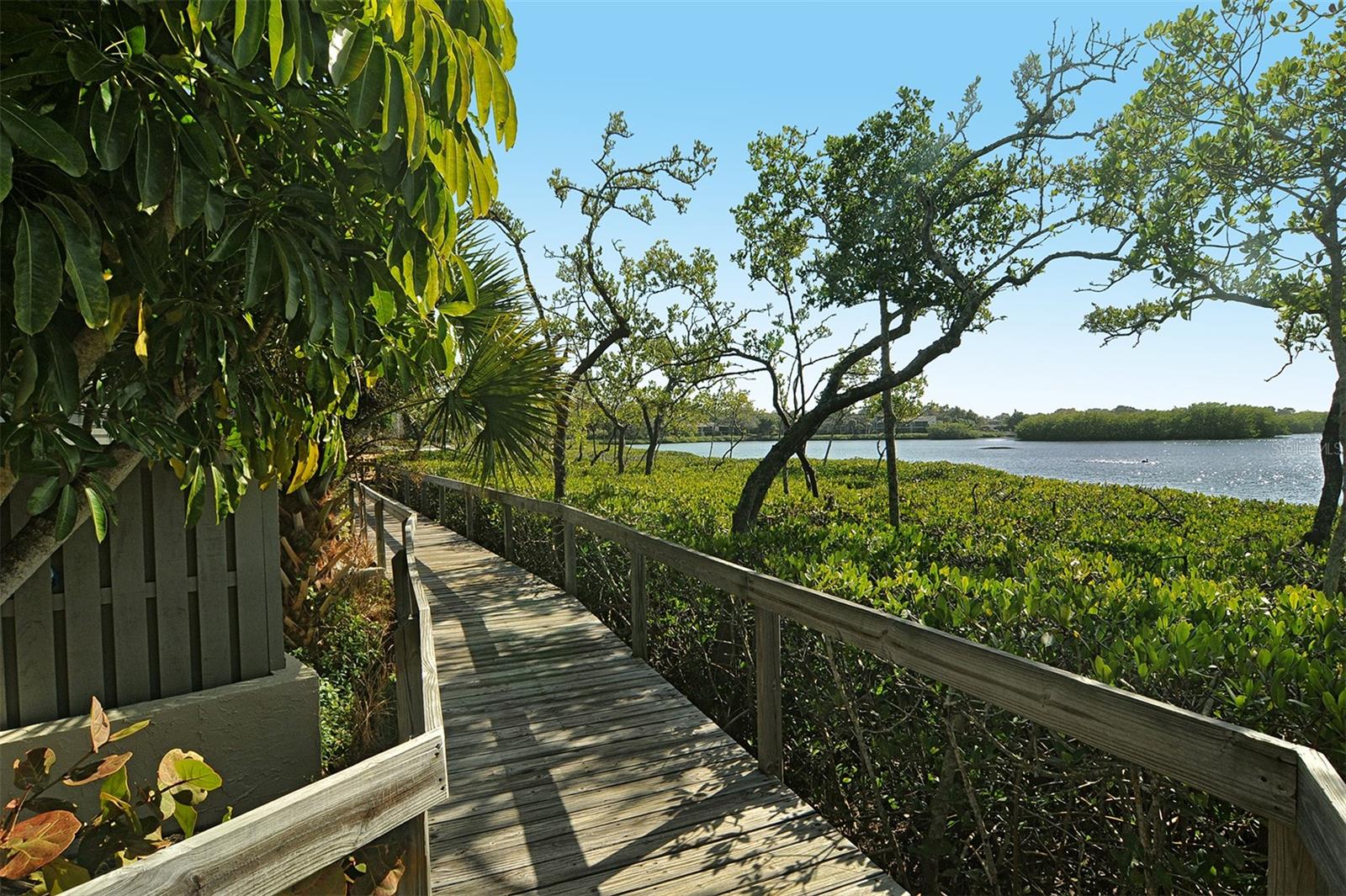 1617 BROOKHOUSE DR #BR260, SARASOTA, FL — photo 55