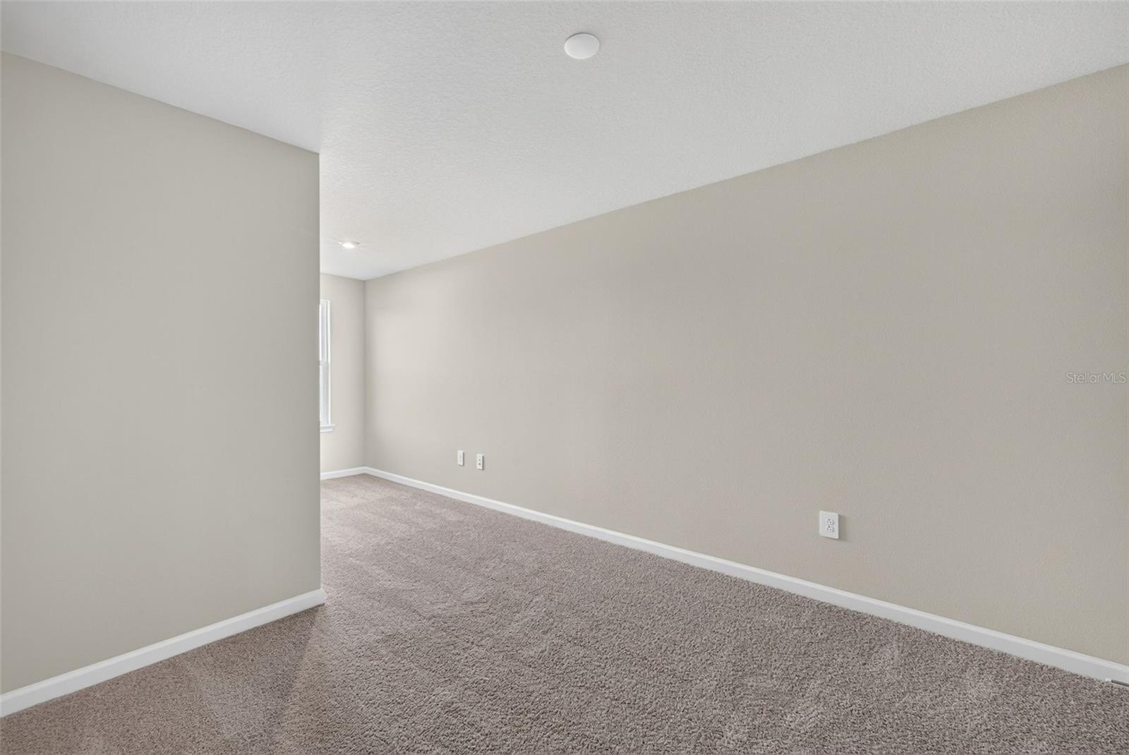 8823 GINKO RUN, PARRISH, FL — photo 20