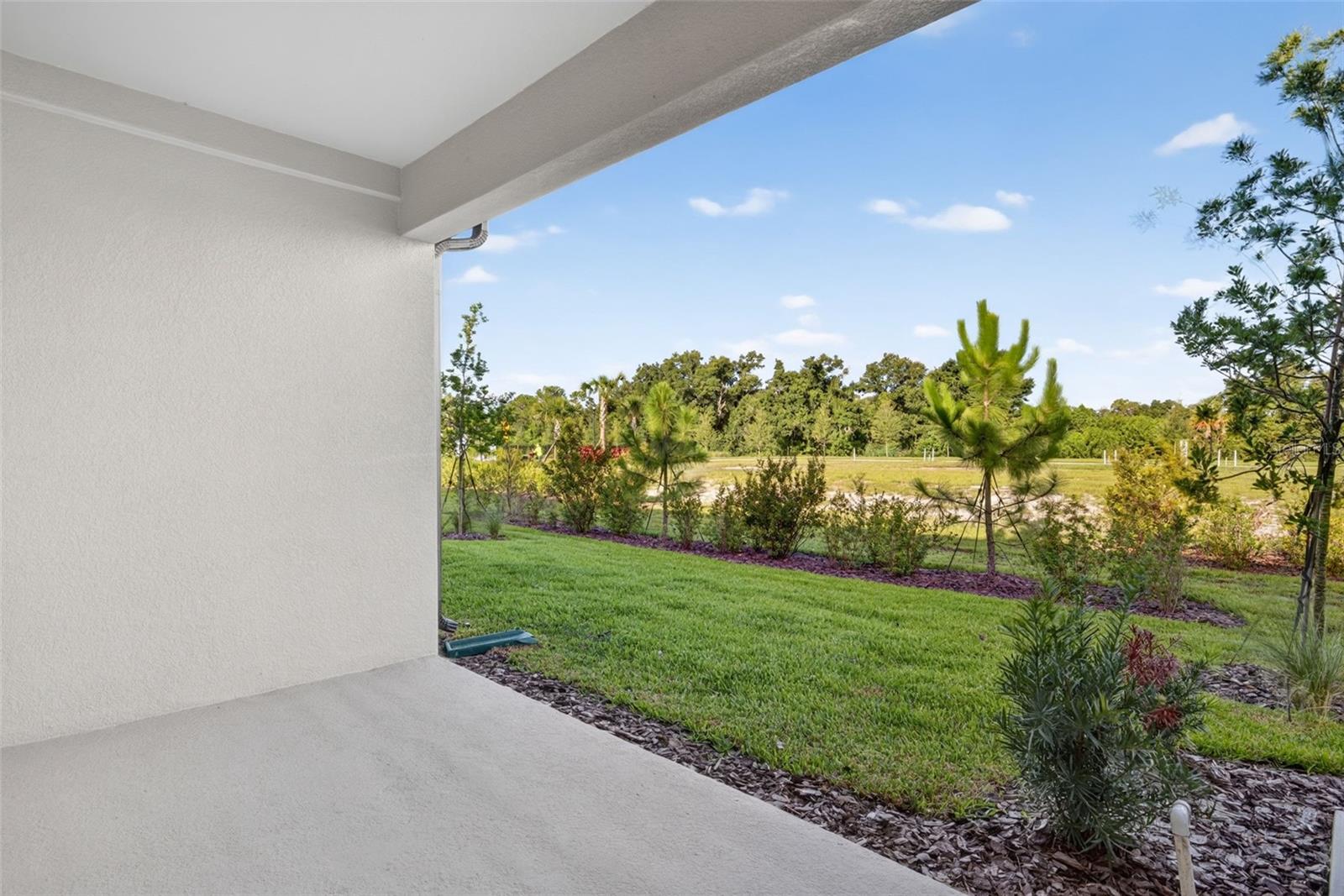 8823 GINKO RUN, PARRISH, FL — photo 26