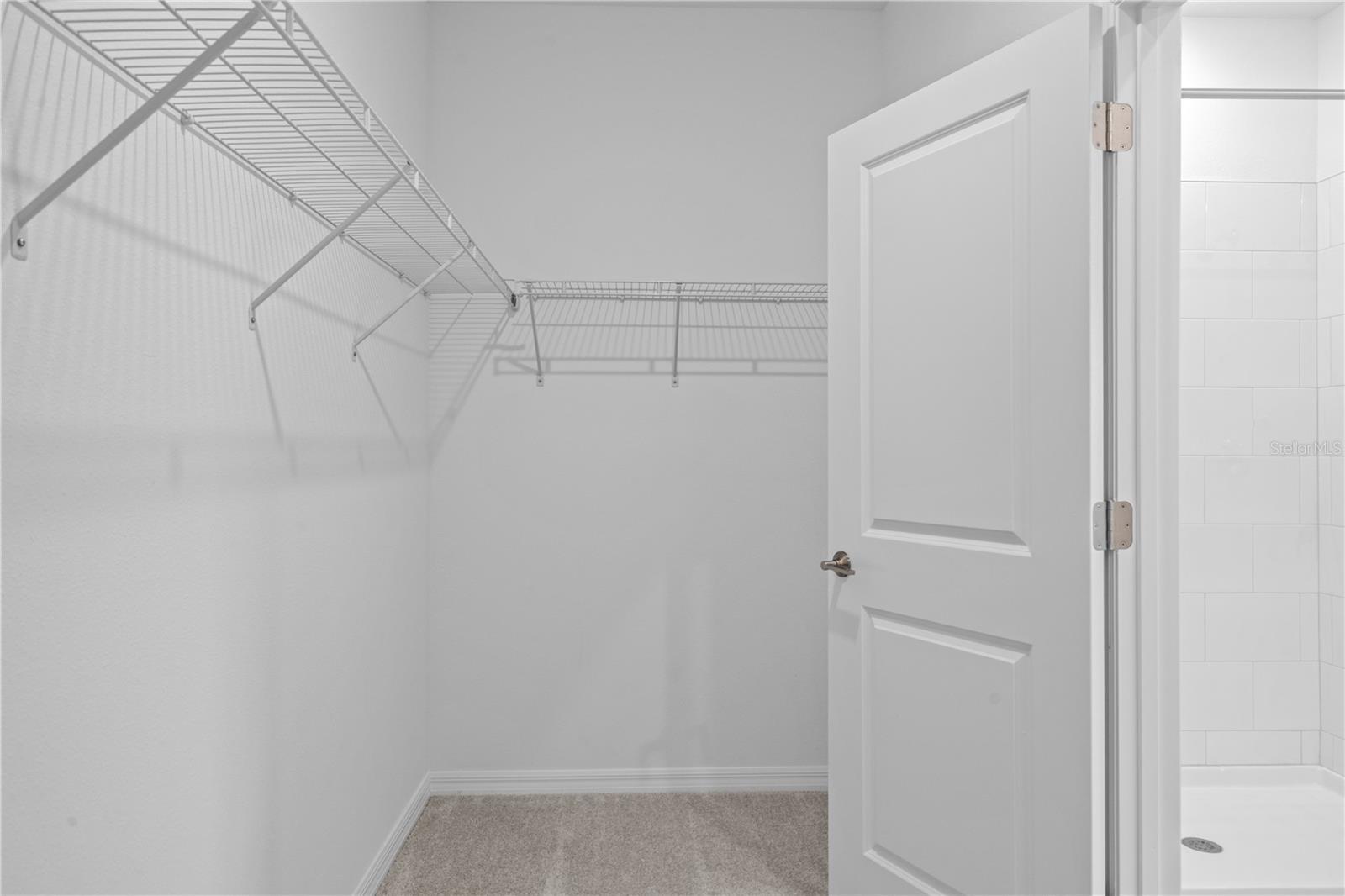 18156 PLEASANTVIEW BLVD, LAND O LAKES, FL — photo 29