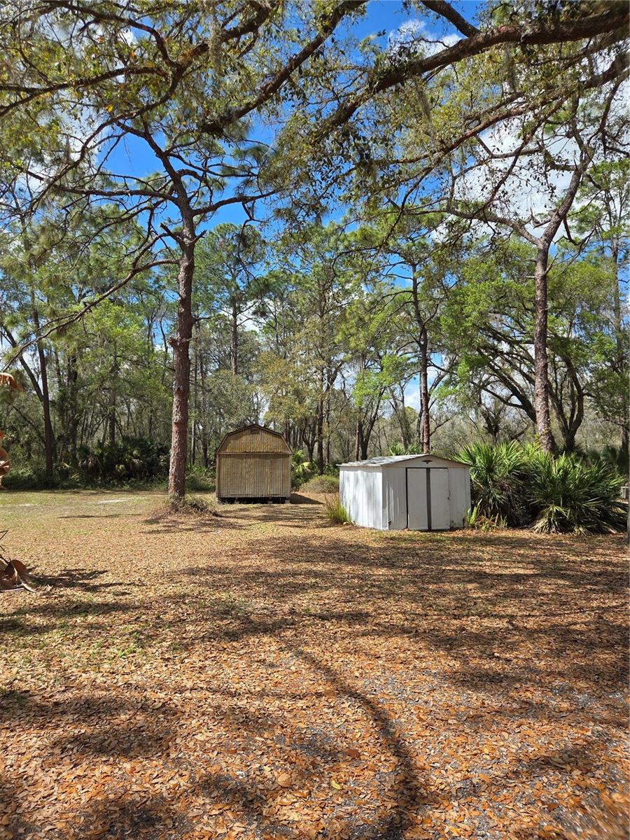 12503 AVERY RD, THONOTOSASSA, FL — photo 9