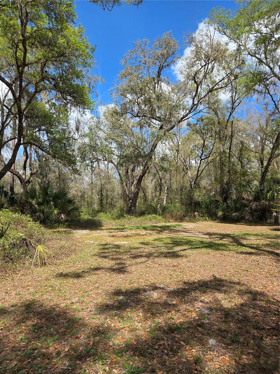 12503 AVERY RD, THONOTOSASSA, FL — photo 11