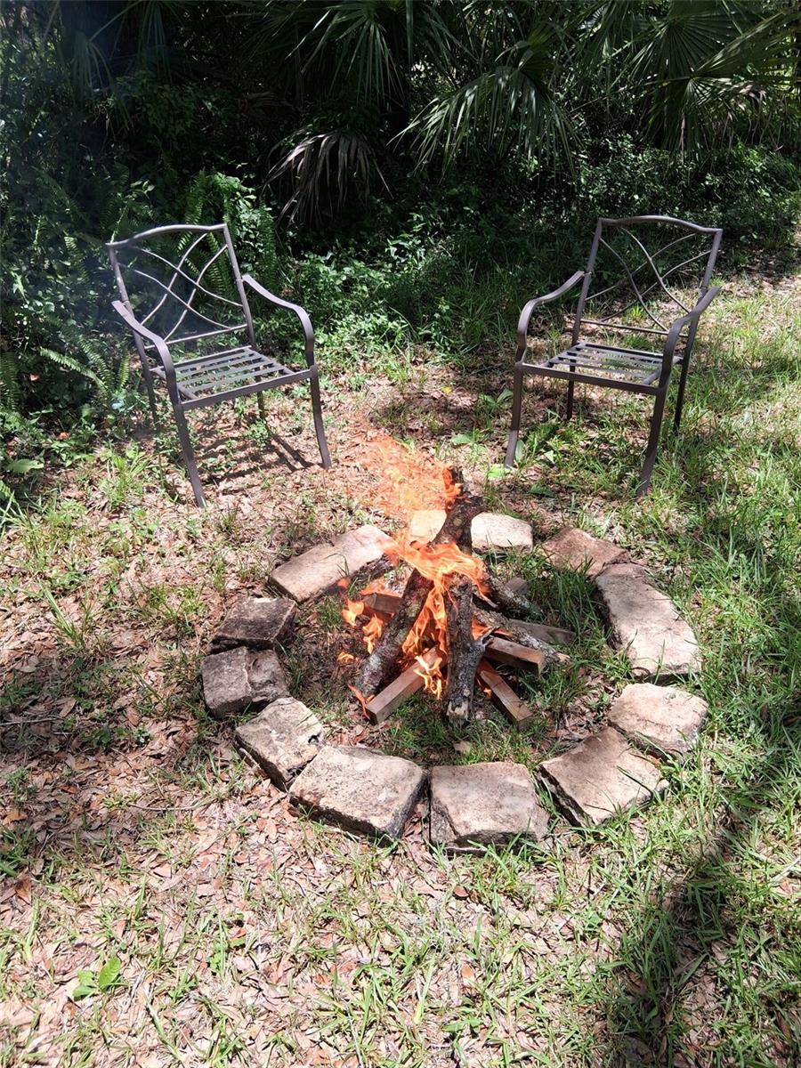 12503 AVERY RD, THONOTOSASSA, FL — photo 14