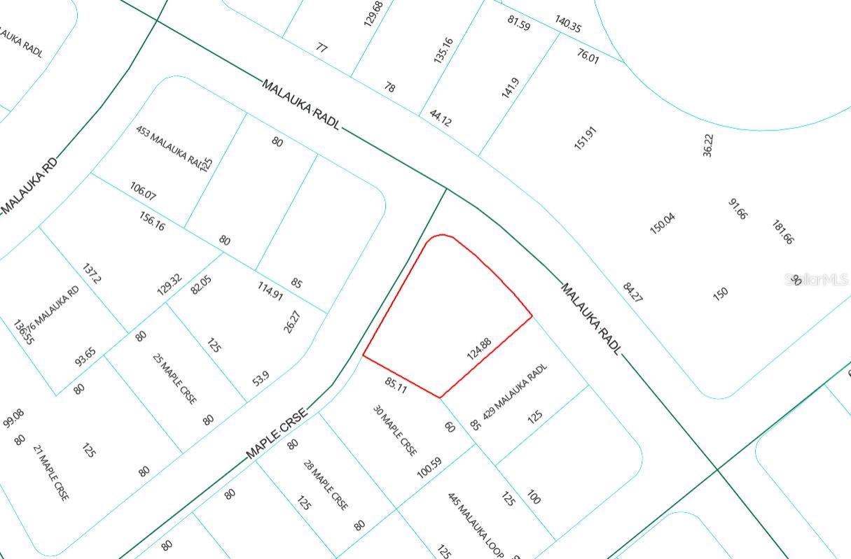Lot 1 MALUKA RADL, OCKLAWAHA, FL — photo 4