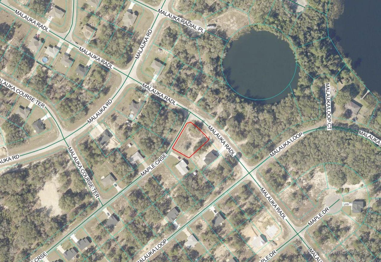 Lot 1 MALUKA RADL, OCKLAWAHA, FL — photo 7