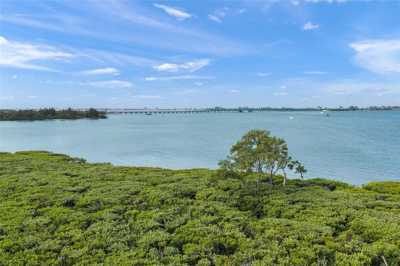 332 HARBOUR SOUND CT, BRADENTON, FL — photo 47