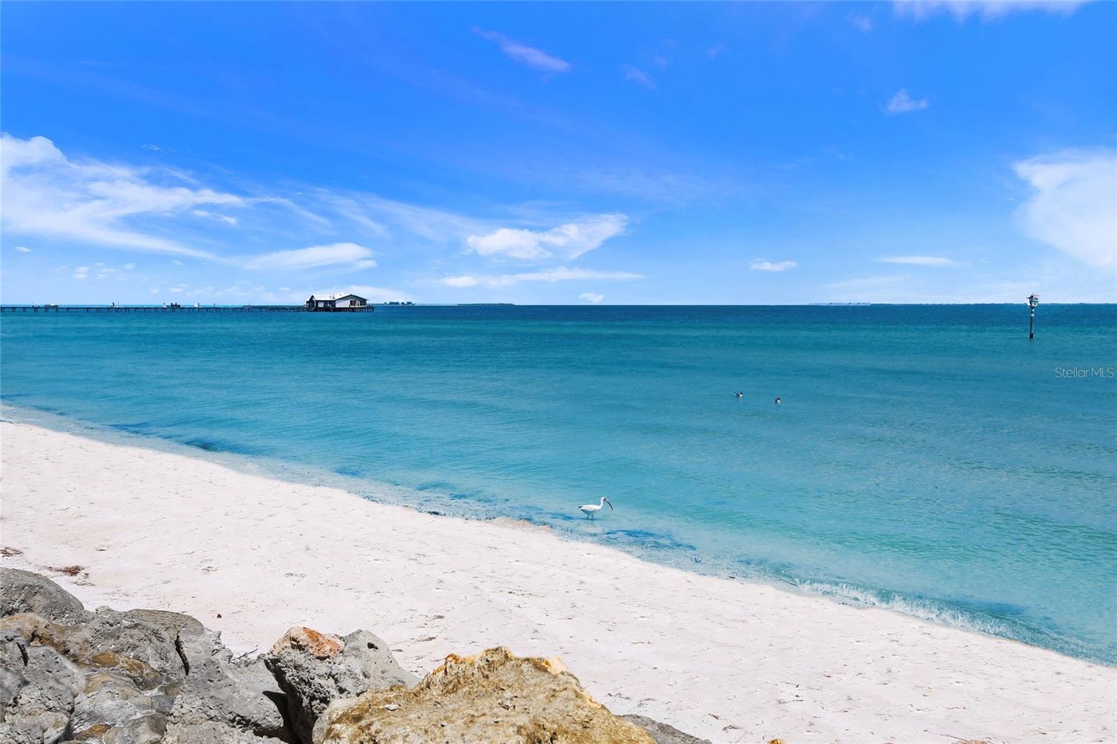332 HARBOUR SOUND CT, BRADENTON, FL — photo 81